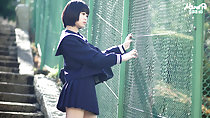 Kogal standing against green fence short hair